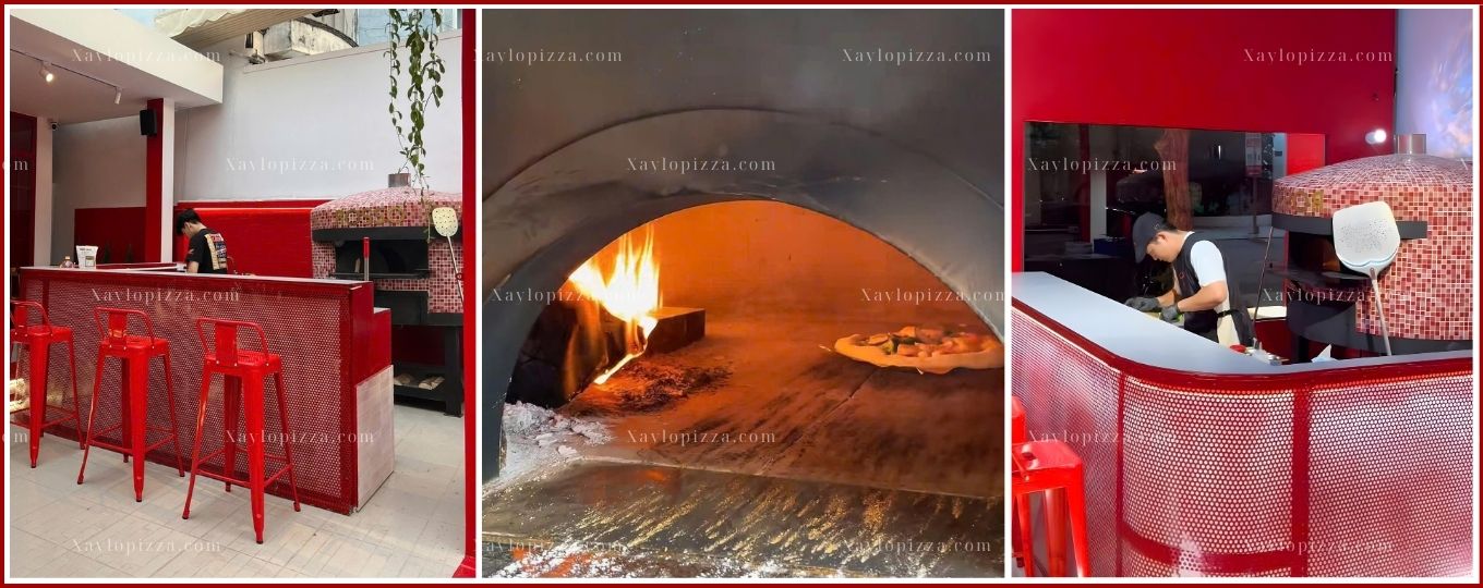 lò nướng pizza gas củi 
