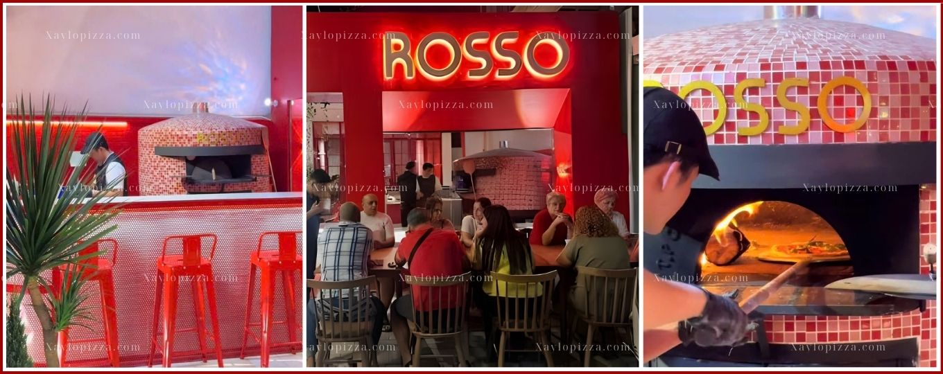 lò nướng pizza gas củi 