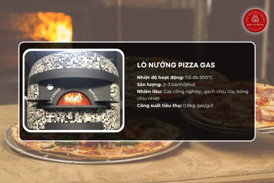 Lò nướng pizza gas 